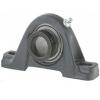  RAS 1/2 NT Pillow Block Bearings #1 small image