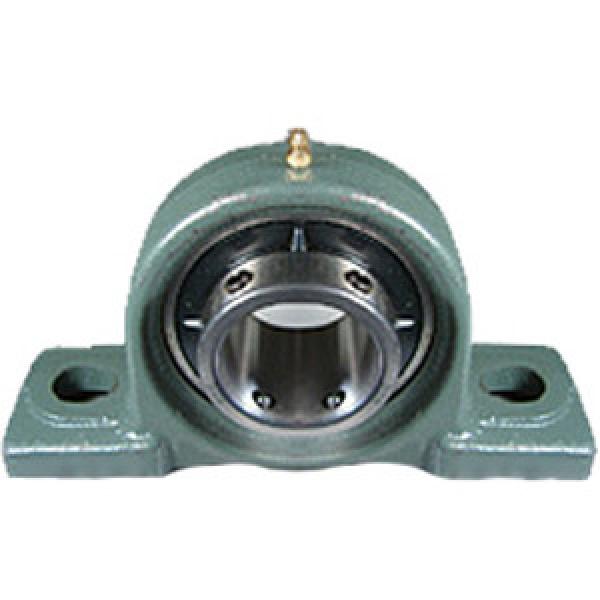  UCP203D1 Pillow Block Bearings #1 image