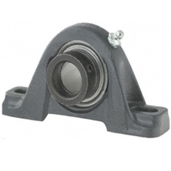  RAS 1/2 NT Pillow Block Bearings #1 image