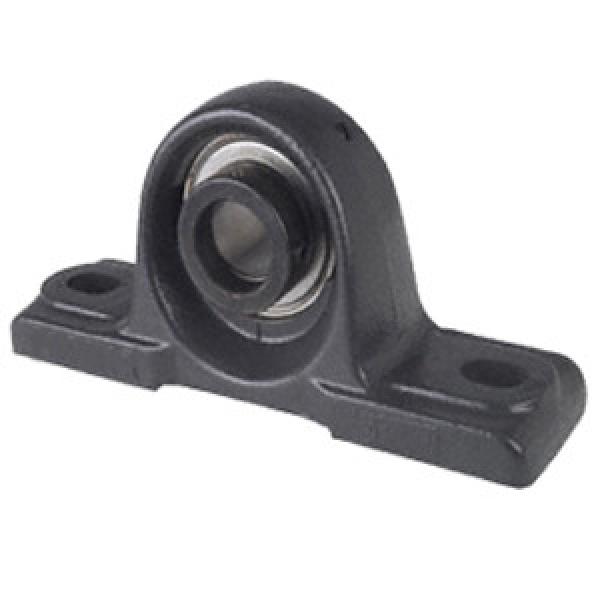  RSAO80 Pillow Block Bearings #1 image